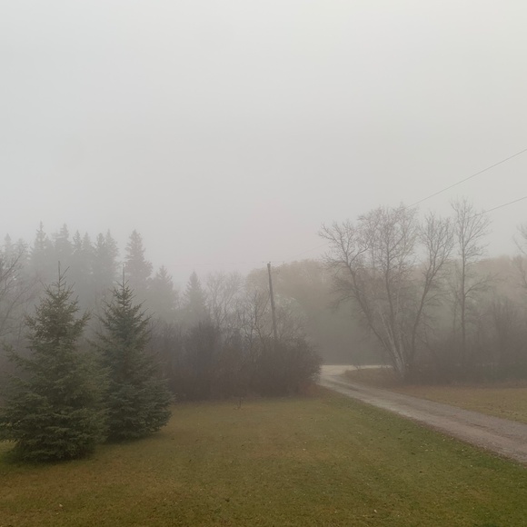 Meet your Posher, Stephanie - Picture 1 of 1